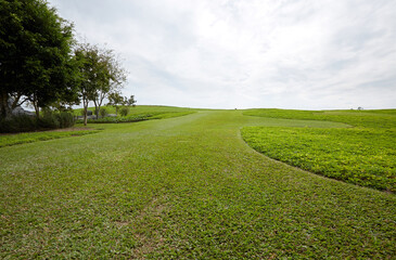 Obraz premium Outdoor meadow background in sunny