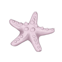 Obraz premium Sea Star Hand Drawn Illustration 