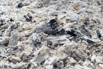 Ash from a campfire natural background texture. Close-up of gray ash. Ash texture.