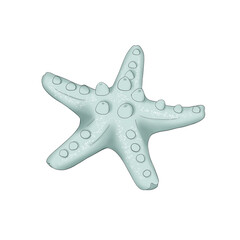 Sea Star Hand Drawn Illustration	