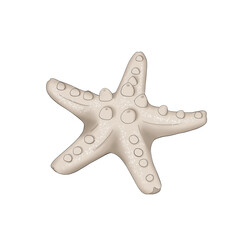 Sea Star Hand Drawn Illustration	