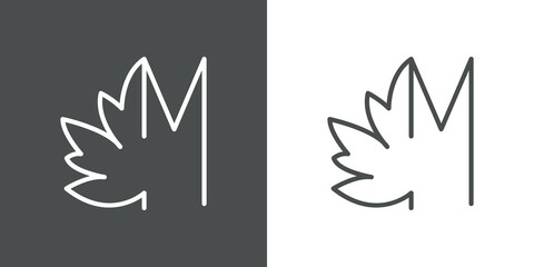 Logotipo letra inicial M en hoja de arce con lineas en fondo gris y fondo blanco - obrazy, fototapety, plakaty