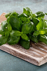 Bunch of fresh organic basil in cutting board on rustic wooden background