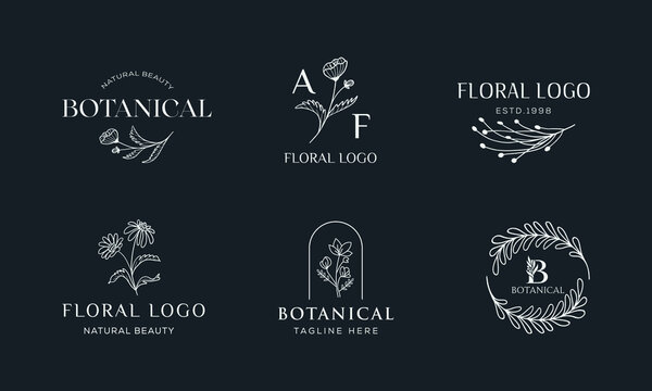 Botanical Floral element Hand Drawn Logo with Wild Flower and Leaves. Logo for spa and beauty salon, boutique, organic shop, wedding, floral designer, interior, photography, cosmetic.
