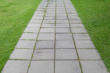 Long concrete walkway in the summer green garden