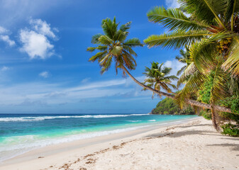 Naklejka na ściany i meble Tropical white sand beach with coco palms and the turquoise sea on Caribbean island. Summer vacation and tropical beach concept.