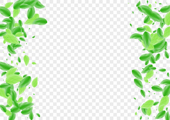 Fototapeta na wymiar Greenish Sheet Background Transparent Vector. Leaf Herbarium Design. Life Card. Light Green Motion Illustration. Vegetation Clear.