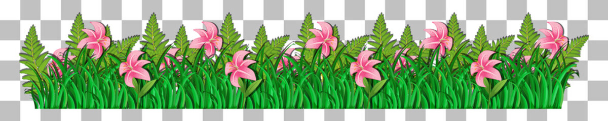 Obraz premium Grass and plants on transparent background for decor