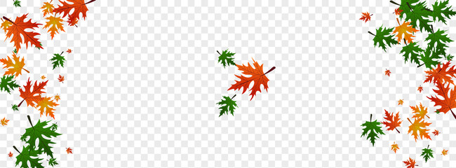 Fototapeta premium Colorful Foliage Background Transparent Vector. Plant Canadian Design. Golden Collection. Ground Template. Green Maple Decoration.