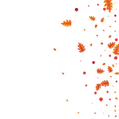 Fototapeta premium Orange Acorn Background White Vector. Leaves Realistic Texture. Golden Plant. Fly Frame. Green Oak Natural.