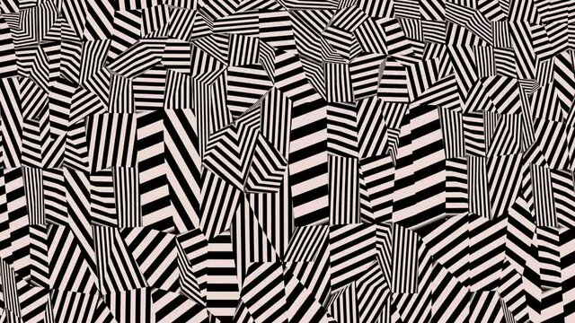 black and white groups stripes move . abstract background. monochrome kaleidoscope. 