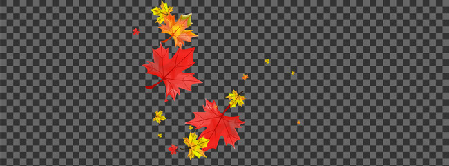 Yellow Foliage Background Transparent Vector. Floral Tree Card. Brown Abstract Leaf. Collection Leaves Frame.