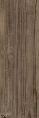 Naklejka premium wood texture