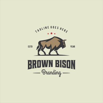 Bison Cow Bull Cattle Logo Design Vector Image