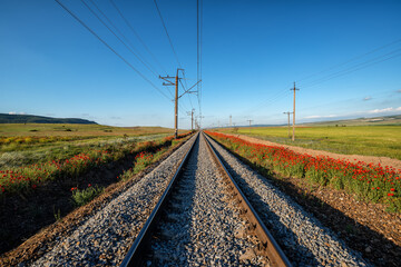 Fototapeta na wymiar A straight railway track going forward through red poppy fields under a blue sky.
