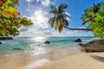 Fotobehang Tropical white sand beach with coco palms and the turquoise sea at sunset on Seychelles island.  © lucky-photo