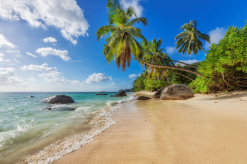 Beautiful tropical beach at sunset - 459866041