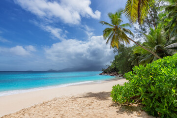 Fototapeta na wymiar Paradise Sunny beach with palms and blue ocean. Summer vacation and tropical beach concept.