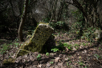 A leaning mossy gravestone in an ancient cemetery in the spring forest.