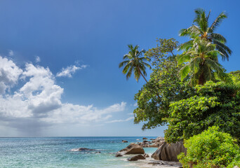Obraz premium Exotic tropical beach on Seychelles
