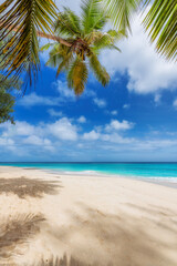 Sunny tropical beach with coco palms and the turquoise sea on Caribbean island.