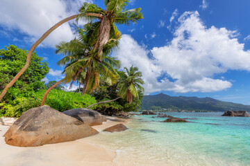 Exotic Sunny beach and coconut palms on Beau Vallon beach, Seychelles. Summer vacation and tropical beach concept.	
