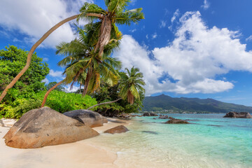 Exotic Sunny beach and coconut palms on Beau Vallon beach, Seychelles. Summer vacation and tropical...
