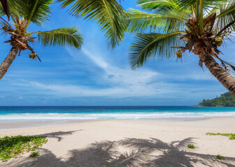 Fototapeta na wymiar Paradise beach with white sand and coco palms. Summer vacation and tropical beach concept.