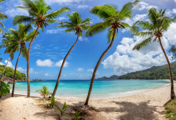 Fototapeta na wymiar Coconut palm trees on tropical beach in paradise lagoon on island in the ocean. Summer vacation and tropical beach concept. 
