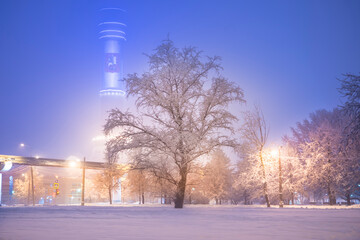 A panorama of a winter evening, a tree grows in a snow-covered meadow, covered with frost, against the background of a railway bridge illuminated by evening lights, the Ostankino tower.