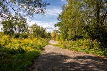 Fototapeta na wymiar A road among meadows and woods on an autumn sunny day