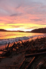 SDGs地球環境！瀬戸内海の夕暮れに漂流物と自然の輝き