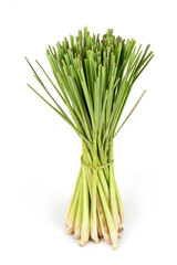 Lemon grass trees isolated on white background.