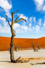 The oldest desert in world.