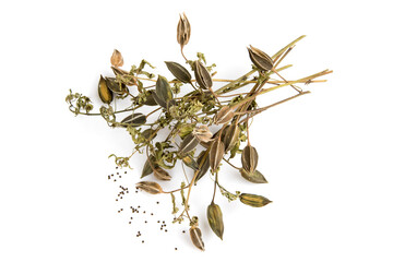 Dried abelmosk friuts and seeds isolated on white background.top view,flat lay.