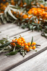 Branch of ripe sea buckthorn berries on a wooden table
