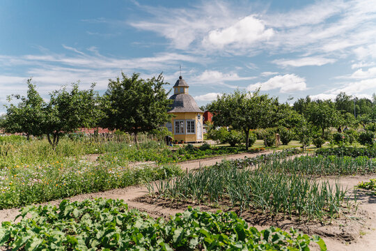 Finnish garden on a sunny day