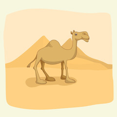 Cute camel cartoon. Vector illustration