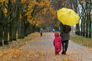 Mom and baby are walking under umbrella along alley of autumn park. Back view