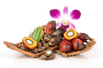 Palm fruits isolated on white background.