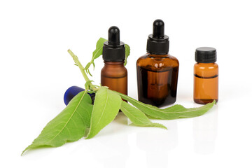Ngai Camphor Tree ,green leaves and extract in the bottle isolated on white background.