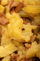 Pan-fried potatoes with mushrooms, close-up, selective focus. A traditional village dish.