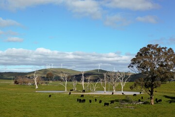 Wind Farm Blayney NSW
