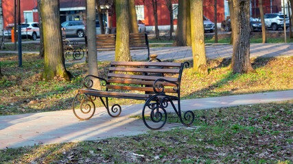 Fototapeta premium wooden bench in the park