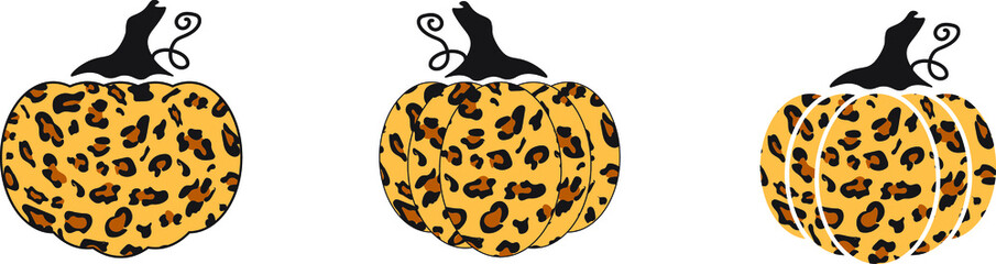 Vector of the Leopard Pumpkins 