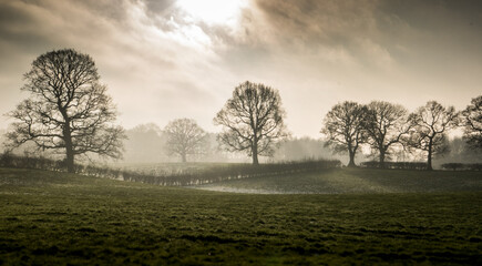 Naklejka premium Misty winter's day landscape