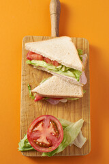 Healthy sandwich with tomato in orange background