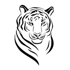 Line drawing tiger. Vector illustration isolated on white