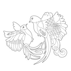 Two cute birds. Doodle style, black and white background. Funny paradise birds, coloring book pages. Hand drawn illustration in zentangle style for children and adults, tattoo.