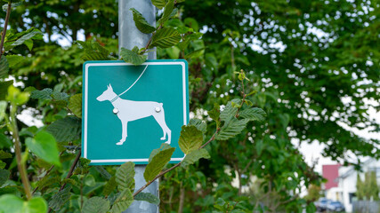  On a tree, making the leash on the dog mandatory sign.  Horizontal.